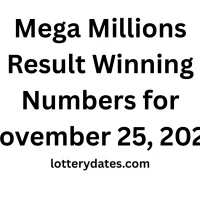 Mega Millions Result Winning Numbers for November 25, 2025